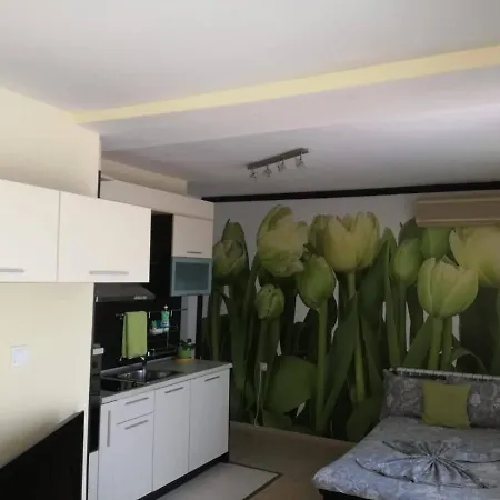 къща симона