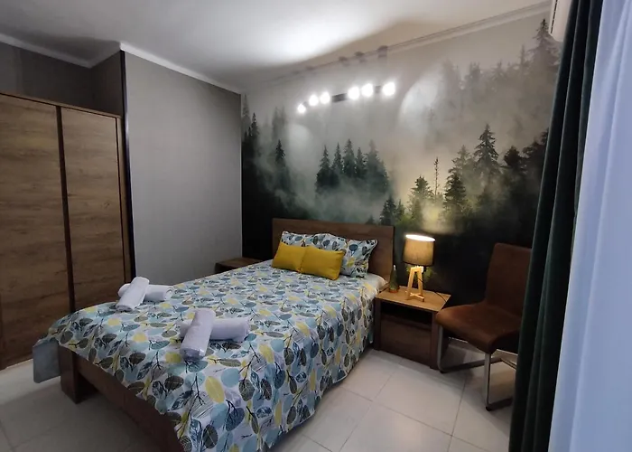 Gasthuis къща симона