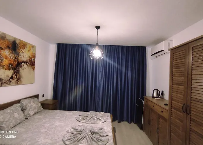 Gasthuis къща симона