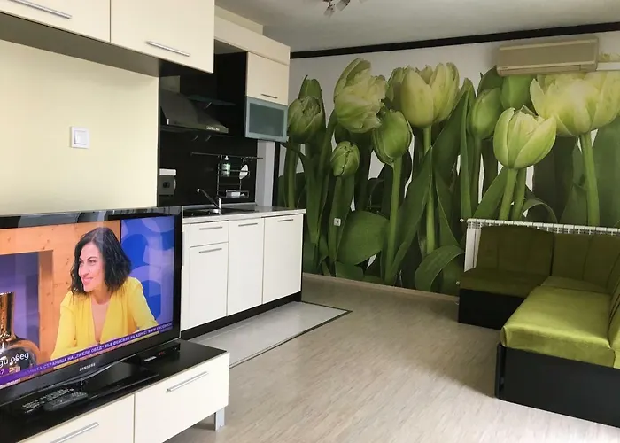 Gasthuis къща симона 3*