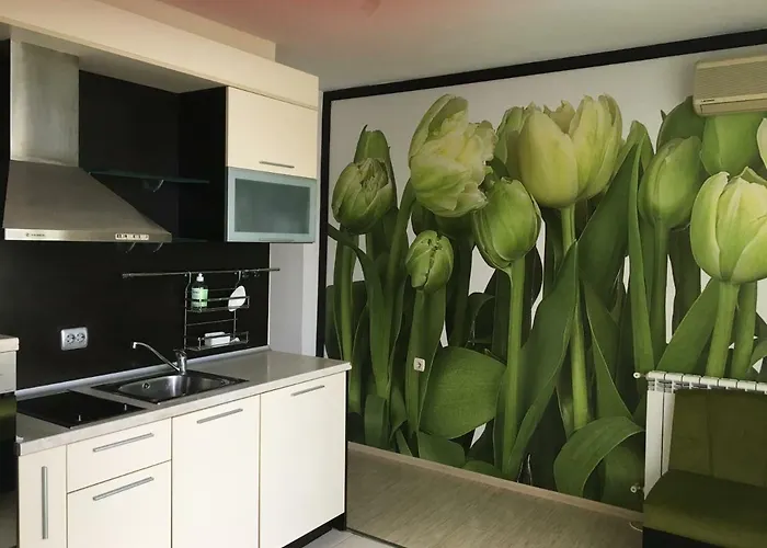 Gasthuis къща симона 3*